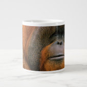 Grande Tasse Portrait of Orang-utang Male, Georgia, USA (Devant)