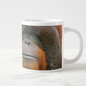 Grande Tasse Portrait of Orang-utang Male, Georgia, USA (Droite)