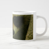 Grande Tasse raton laveur (Droite)