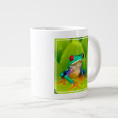 Grande Tasse Red-eyed tree frog, Costa Rica (Devant droit)