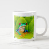 Grande Tasse Red-eyed tree frog, Costa Rica (Droite)