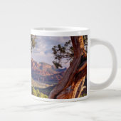Grande Tasse Red Rock | Sedona Arizona (Droite)
