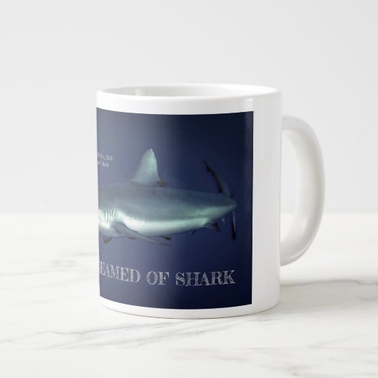 Grande Tasse Requin gris de récif à Yap en Micronésie (Devant droit)