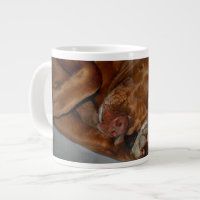 Shop Chocolate Lab Pit Mix Chien