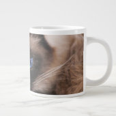 Grande Tasse Siamese Kitten Sweetie (Droite)