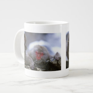 Grande Tasse Singe des neiges mère et enfant, Jigokudani, Nagan
