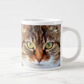 Grande Tasse Tabby Cat Stare Gros plan (Droite)