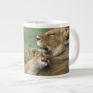 Grande Tasse Tanzanie, cratère du Ngorongoro. Lionne africaine
