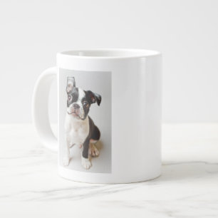Grande Tasse Terrier de Boston