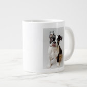 Grande Tasse Terrier de Boston (Devant droit)