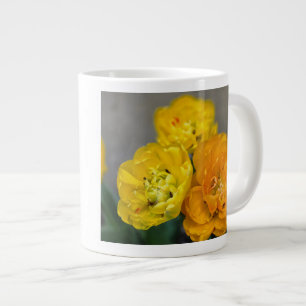 Grande Tasse Tulipe paeonie
