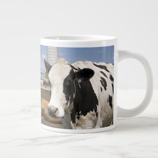 Grande Tasse Vaches devant une grange rouge et silo sur une fer (Droite)