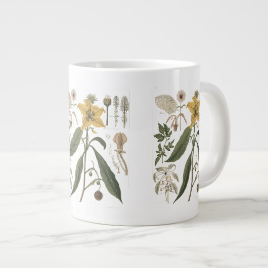 Grande Tasse Vintage Scientific Botanical Plate (Devant droit)
