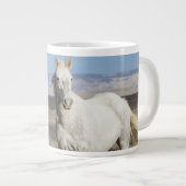 Grande Tasse Wild Horses at Home in the Sandwash Basin (Devant droit)