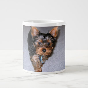 Grande Tasse yorkshire terrier chiot.png