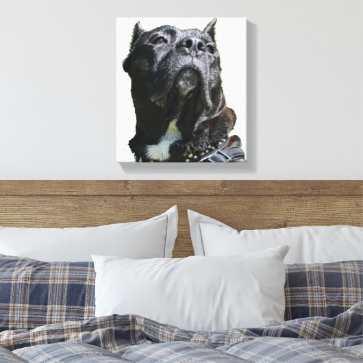Grande toile de chien (Insitu(Chambre))