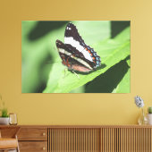 Grande toile Papillon Impression (Insitu(Salon))