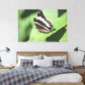 Grande toile Papillon Impression (Insitu(Chambre))