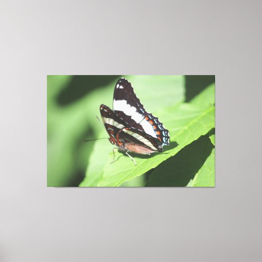Grande toile Papillon Impression (Recto)