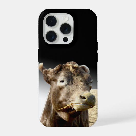 Grande vache brune en train de mâcher du foin, (Verso)