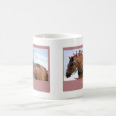 Grandes tasses belges (Centre)