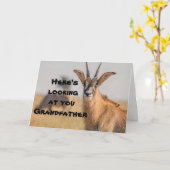 "GRANDFATHER" WHO HUNTS - FUN VADERDAG KAART (Gele Bloem)