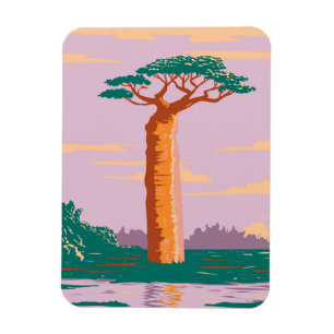 Grandidiers Baobab Magneet