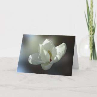 Grandiflora magnolia kaart