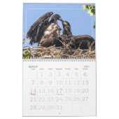 Grandir dans le calendrier Eagle (Mar 2027)