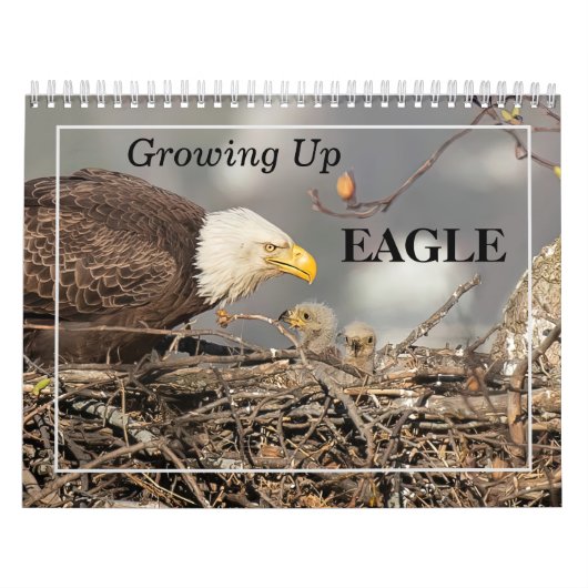 Grandir dans le calendrier Eagle (Protection)