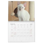 Grandir dans le calendrier siamois (Feb 2026)