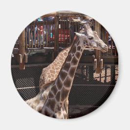 Grandma Magnet #1 Magneet