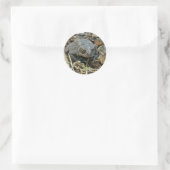 Grandpa Toad Sticker (Tas)