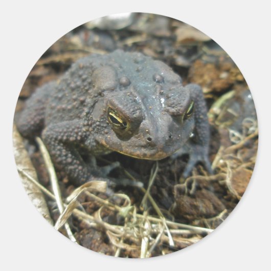 Grandpa Toad Sticker (Voorkant)