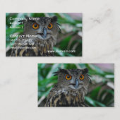 Grands cartes de visite de hibou (Devant / Derrière)