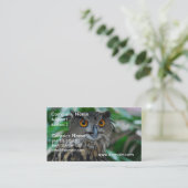 Grands cartes de visite de hibou (Debout devant)