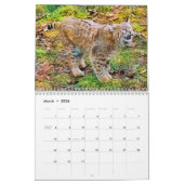 GRANDS CHATS ! Calendrier (Mar 2026)