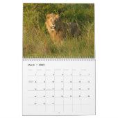 Grands chats ! Lion, léopard, guépard, calendrier (Mar 2026)