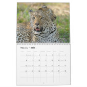 Grands chats ! Lion, léopard, guépard, calendrier (Feb 2026)