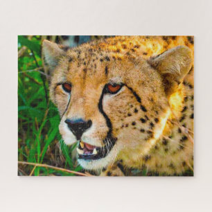 Grands félins guépard. Puzzle