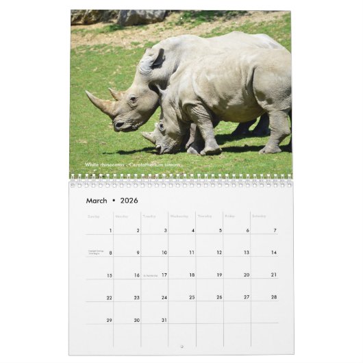 Grands mammifères en Afrique Calendrier 12 mois (Mar 2026)