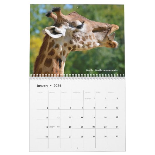 Grands mammifères en Afrique Calendrier 12 mois (Jan 2026)