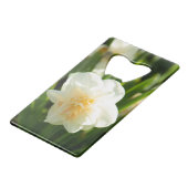 Grands narcisses blancs par un jour de printemps   (Devant Angle)