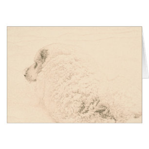 Grands Pyrénées, série #1 de chien de neige