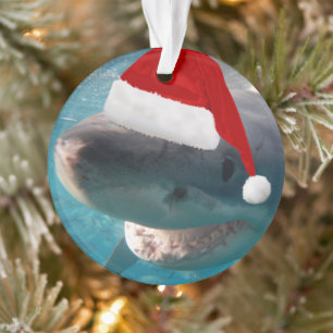 Grands requins blancs de Noël avec chapeau de Père