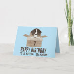 Grandson Chiot en boîte Carte d'anniversaire<br><div class="desc">Carte d'anniversaire. Un (Allemand Raccourci) Pointeur Puppy dans une boîte en carton. Félicitations. Customisez cette carte pour n'importe quel âge, destinataire, couleur. Un anniversaire à fêter ? Envoyez une carte d'anniversaire d'aquarelle à votre famille et à vos amis et leur souhaitons le plus beau anniversaire de tous les temps !...</div>