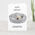 GRANDSON L'ANNIVERSAIRE ! CARTE<br><div class="desc">MERCI DE VOUS ÊTRE ARRÊTÉS PAR UN DE MES HUIT MAGASINS ! ! ! !</div>