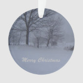 Grange dans le Maine Blizzard (devant)