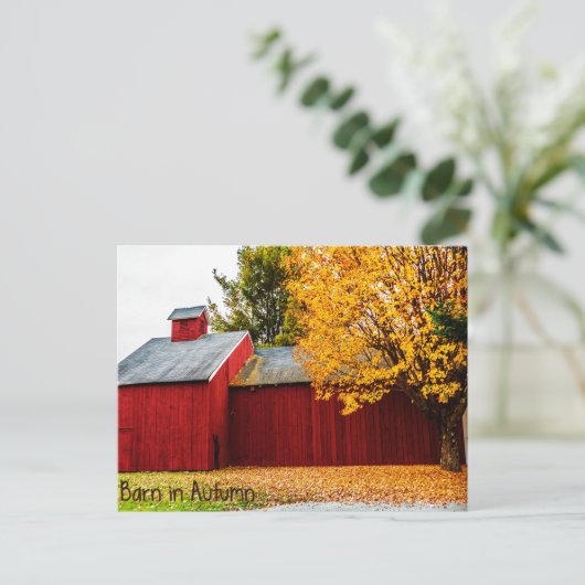 Grange rouge en automne Carte postale (Debout devant)
