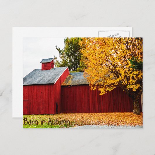 Grange rouge en automne Carte postale (Devant / Derrière)